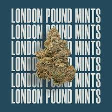 420 weed day get name,will the uk legalise weed